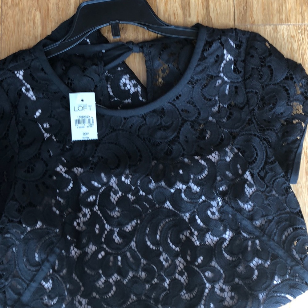 NWT! Loft short sleeve lace shift dress - Picture 4 of 7